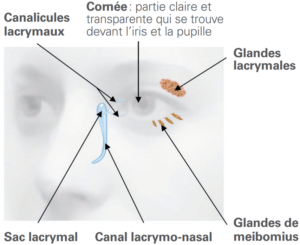 DRY EYE SYNDROME